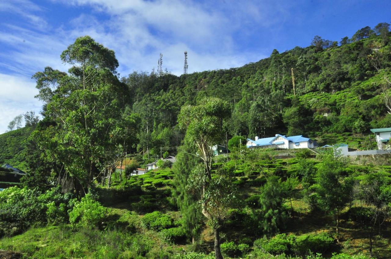 Summer Glow Guest - Nuwara Eliya Zewnętrze zdjęcie