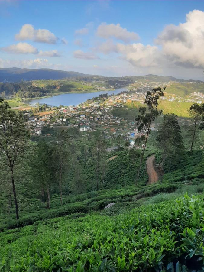 Summer Glow Guest - Nuwara Eliya Zewnętrze zdjęcie